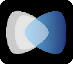 Net VR Logo
